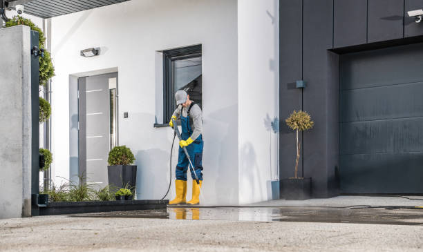 Best Patio and Deck Pressure Washing  in Williamsburg, KY